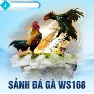 Cá cược Đá Gà 789 win