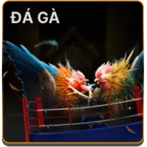 Casino trực tuyến 789 win